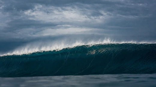 The Seasons - KS Boardriders Surf Shop