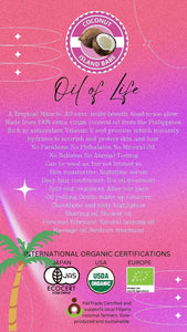 Coconut Island Babe Extra Virgin Coconut Oil - KS Boardriders Surf Shop