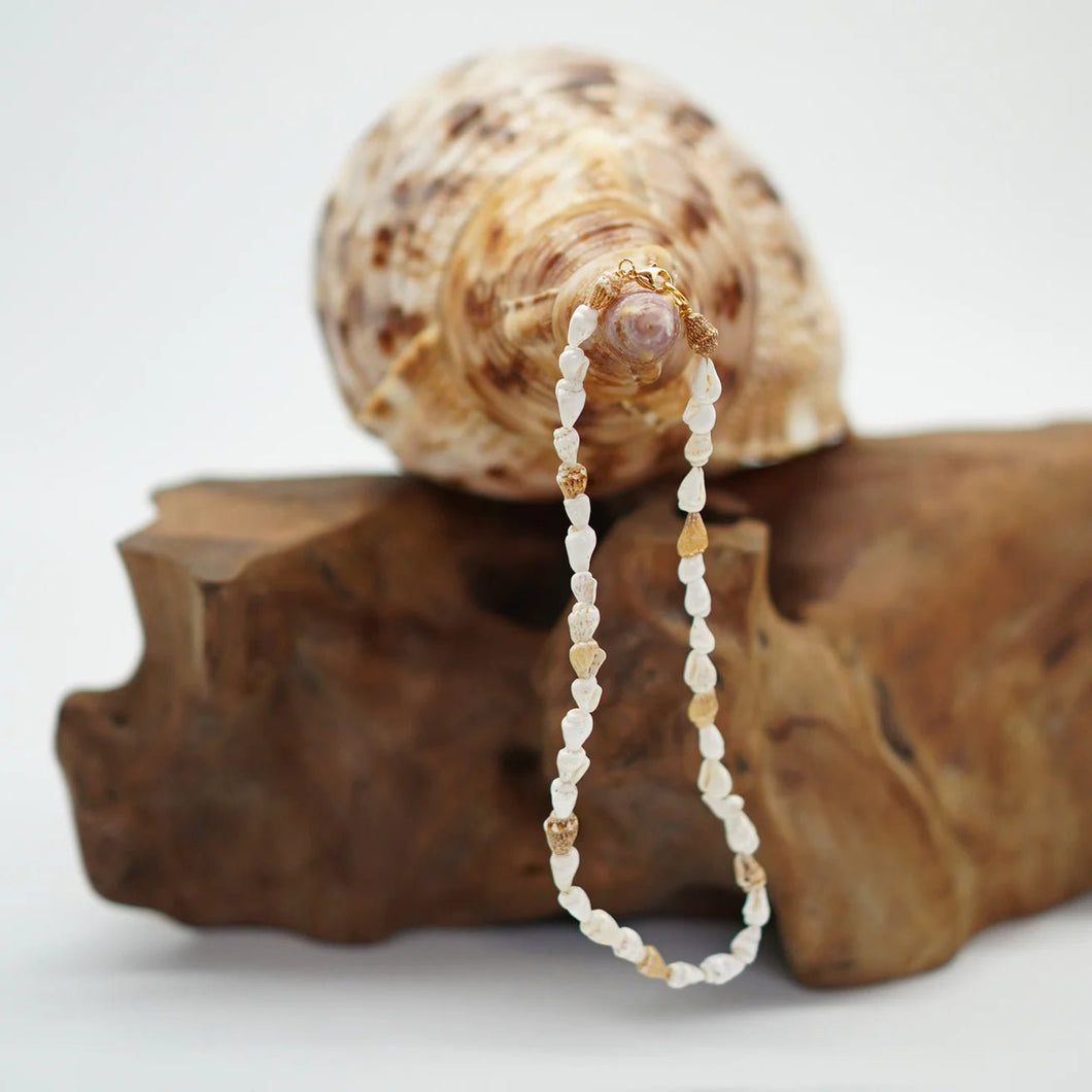 Isla PH Mini Cone Shell Anklet - KS Boardriders Surf Shop